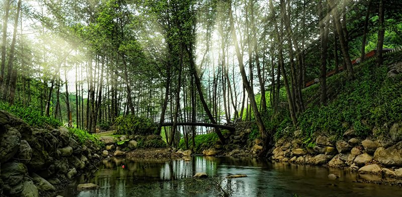 Kartepe Maşukiye Turu